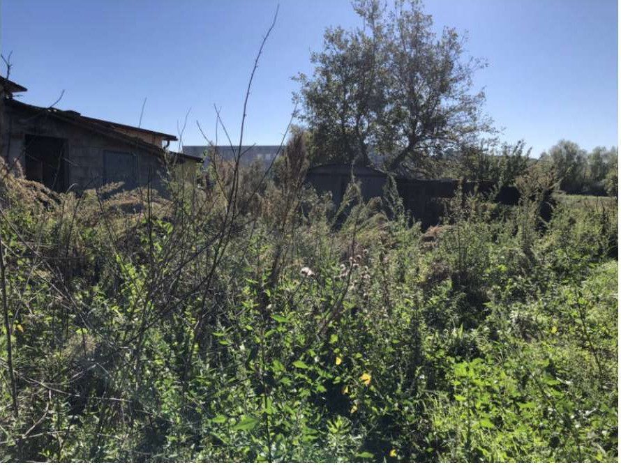 Immobile residenziale · Cerreto Guidi (Firenze)
