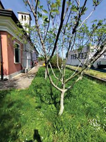 Immobile residenziale · Ariano nel Polesine (Rovigo)
