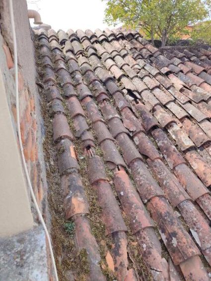 Immobile residenziale · Rovigo (Rovigo)