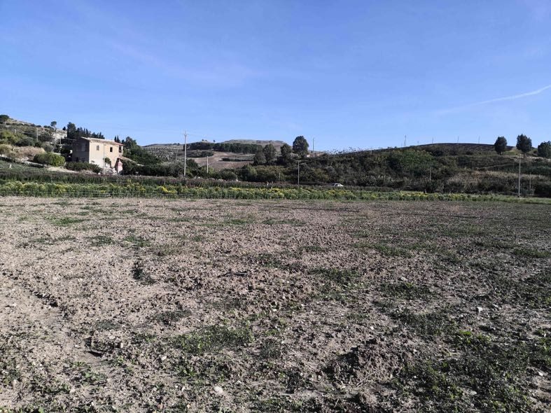 Altra categoria · Sciara (Palermo)