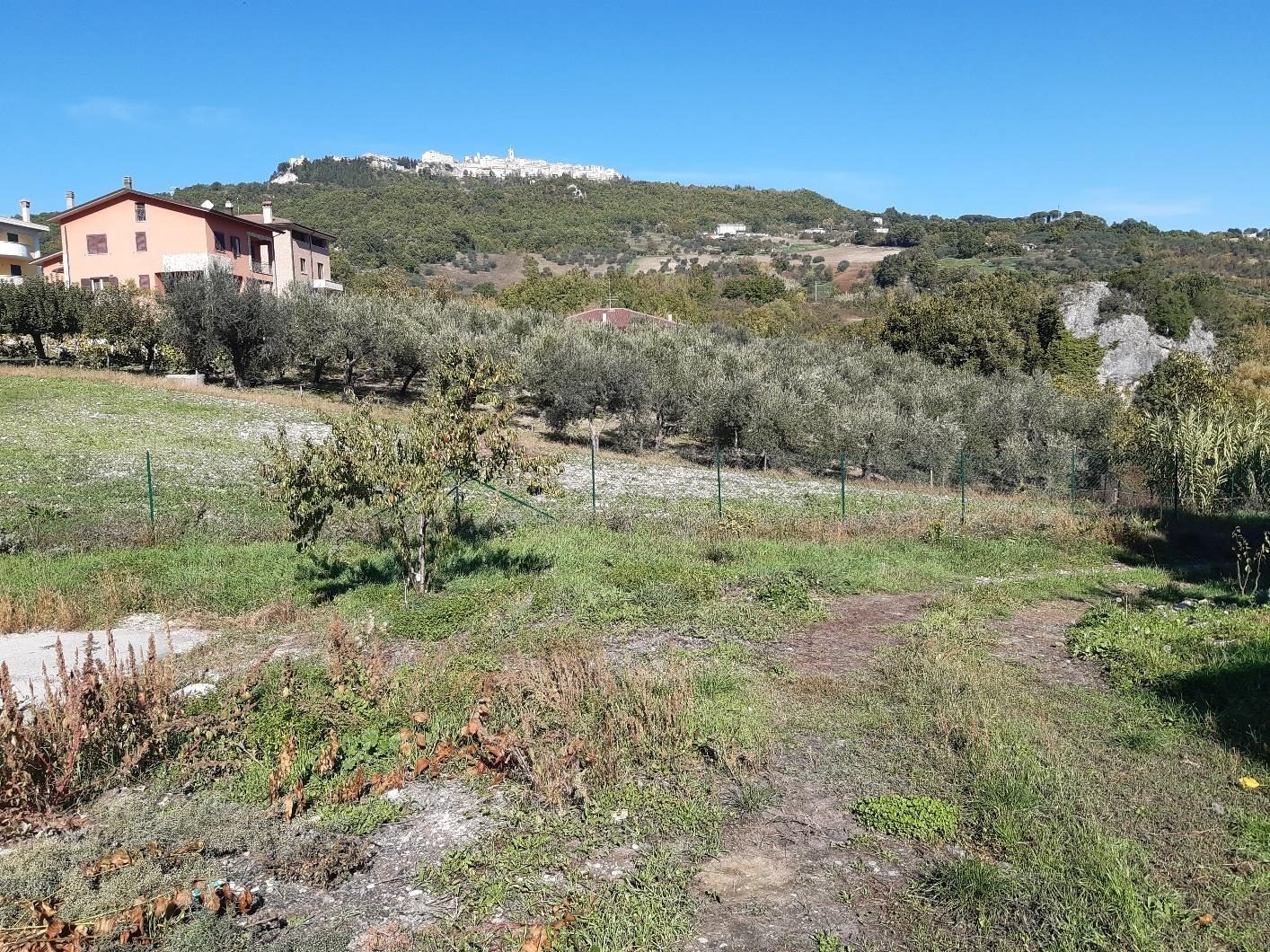 Altra categoria · Mirabello Sannitico (Campobasso)