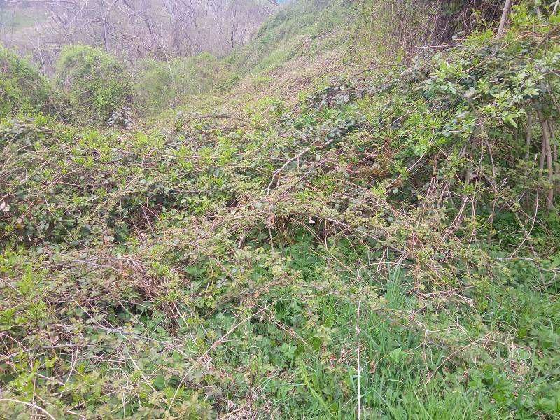Immobile residenziale · Ferriere (Piacenza)