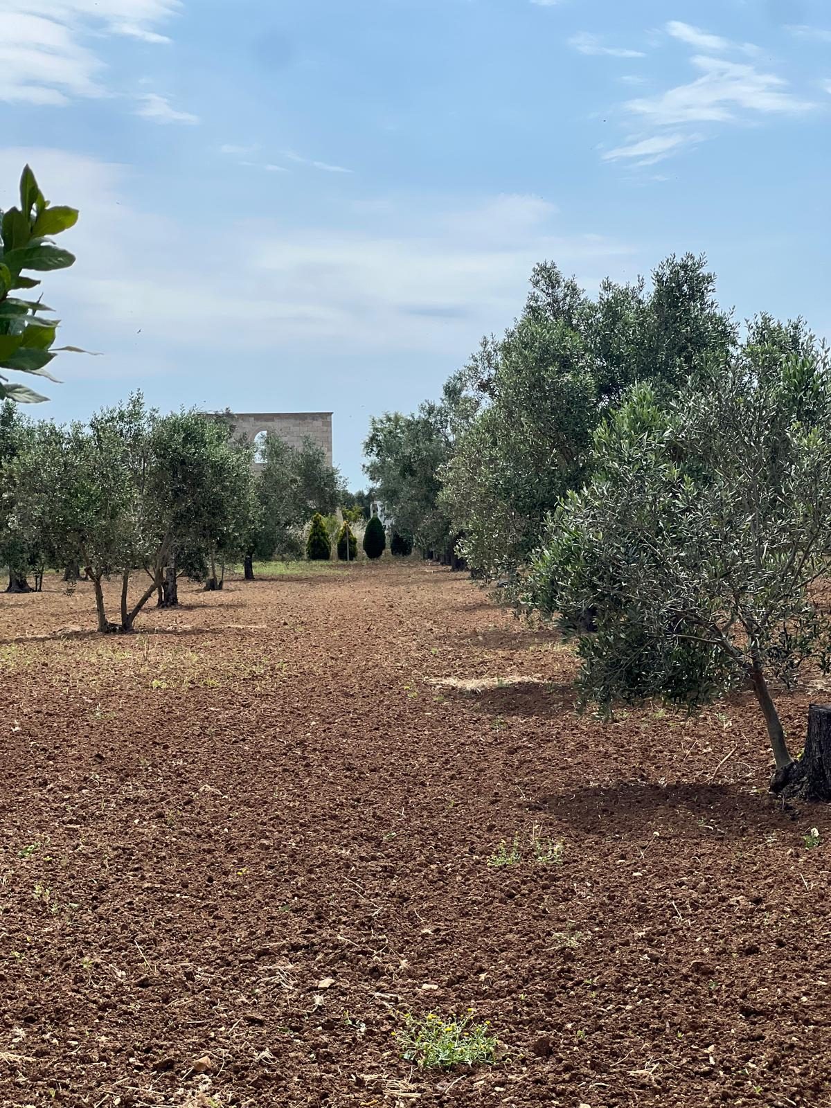 Altra categoria · Nardò (Lecce)