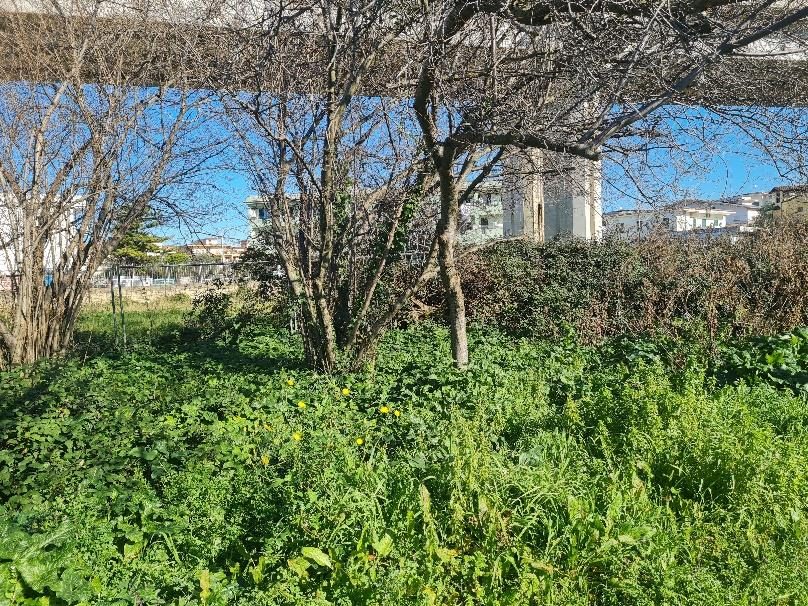 Altra categoria · Quarto (Napoli)