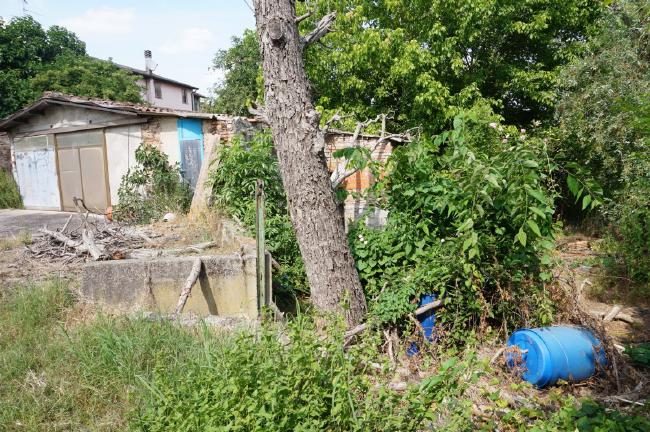 Altra categoria · Marcaria (Mantova)