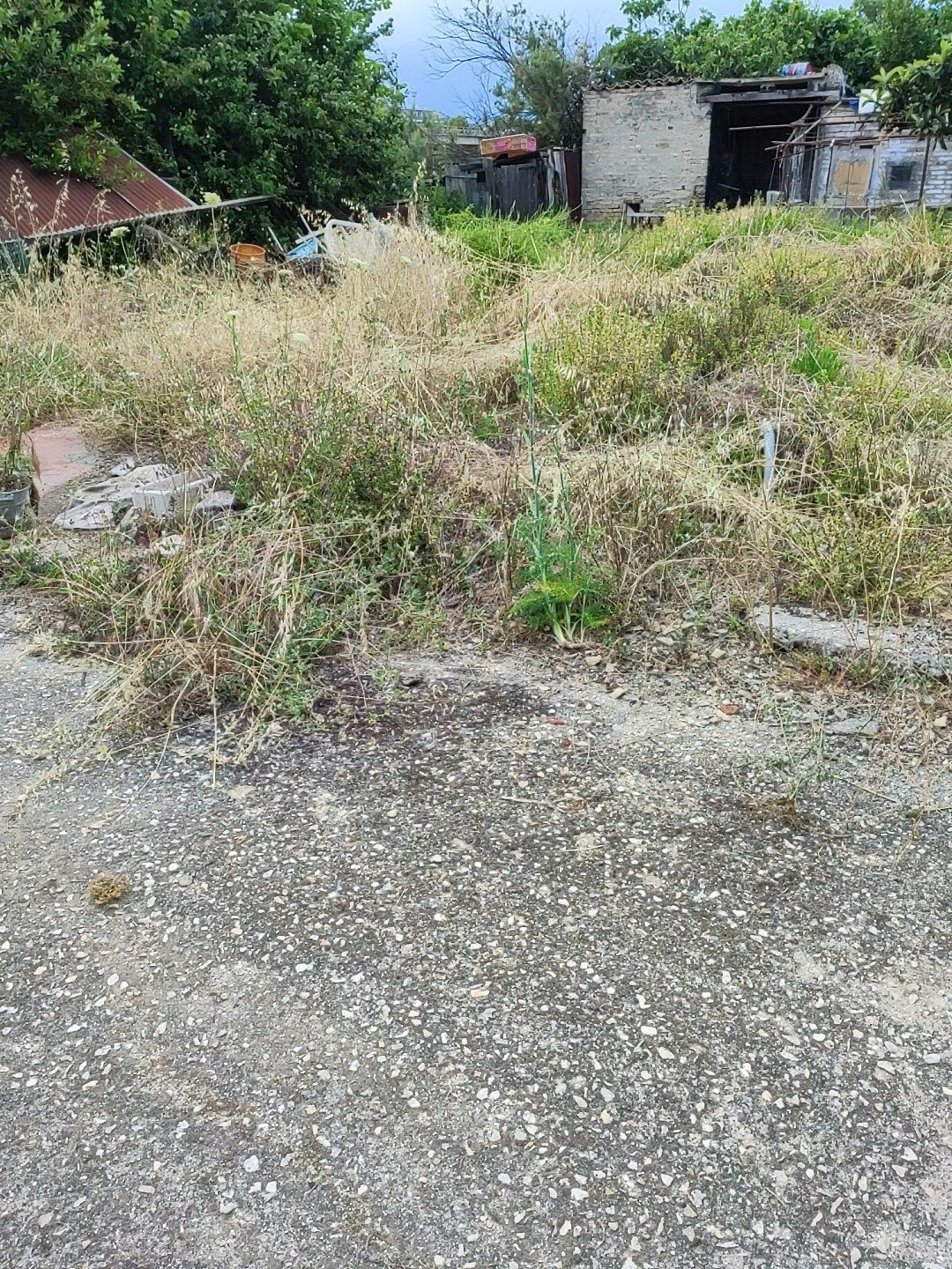 Immobile commerciale · San Benedetto del Tronto (Ascoli Piceno)