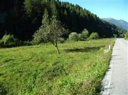 Altra categoria · Treppo Ligosullo (Udine)