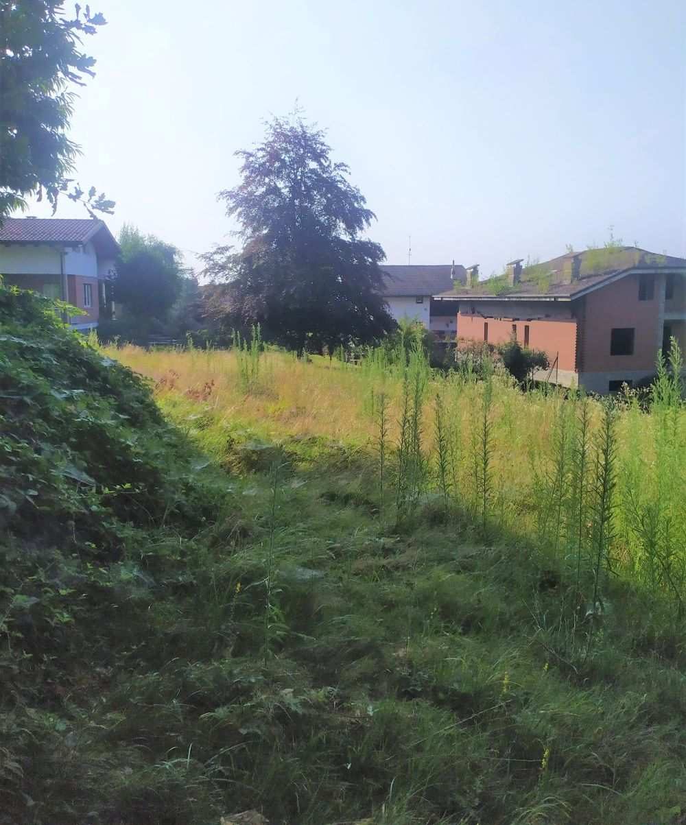 Altra categoria · Pralungo (Biella)