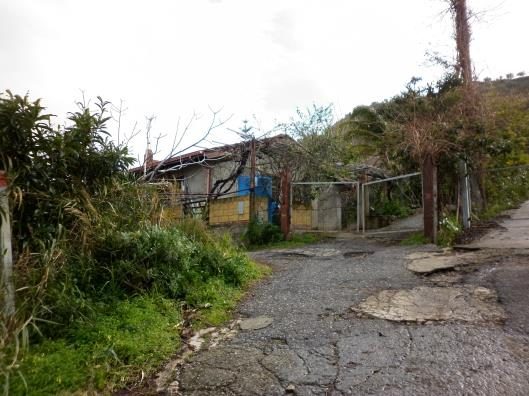 Immobile residenziale · Serra San Bruno (Vibo Valentia)