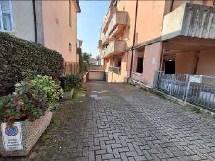 Altra categoria · Rovigo (Rovigo)