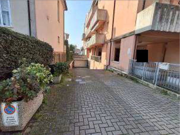 Altra categoria · Rovigo (Rovigo)