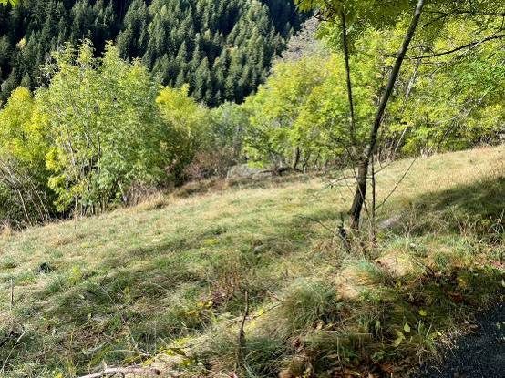 Immobile residenziale · Grosio (Sondrio)
