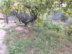 Immobile commerciale · Ficarra (Messina)