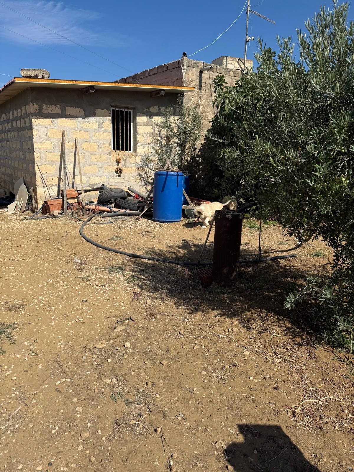 Altra categoria · Acate (Ragusa)