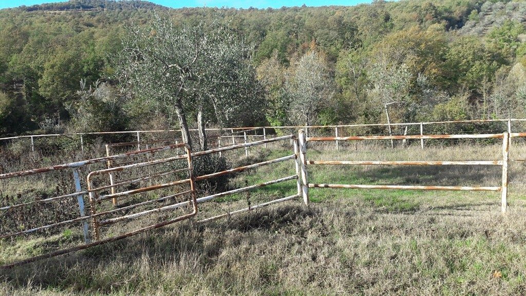 Immobile residenziale · Laterina Pergine Valdarno (Arezzo)