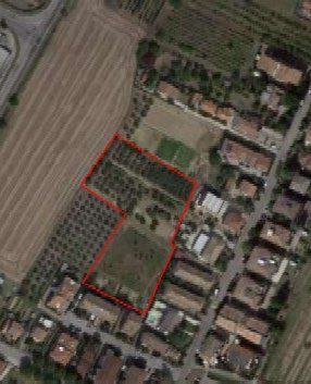 Altra categoria · Forlì (Forlì-Cesena)