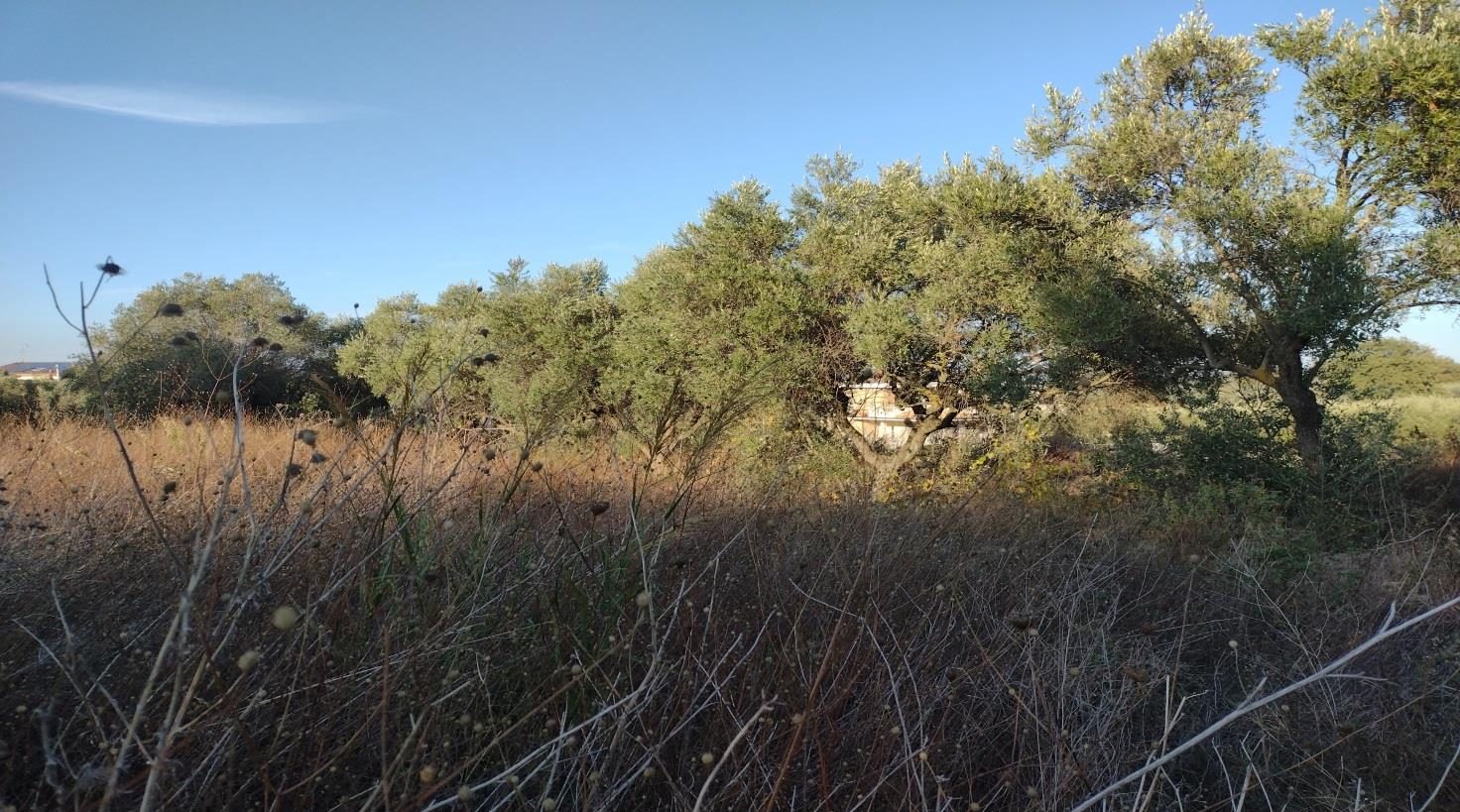 Altra categoria · Vasto (Chieti)