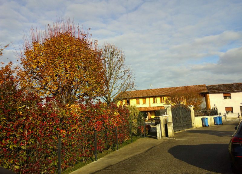 Immobile residenziale · Casale sul Sile (Treviso)