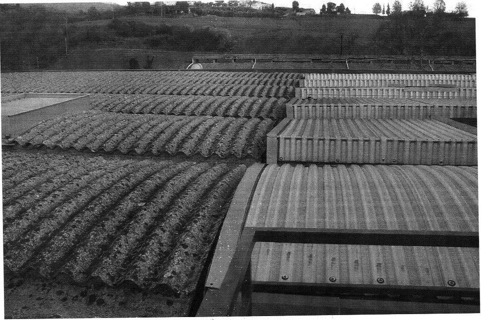 Immobile commerciale · Castelfranco Piandiscò (Arezzo)