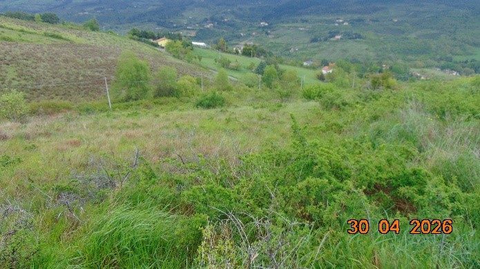 Immobile commerciale · Potenza (Potenza)