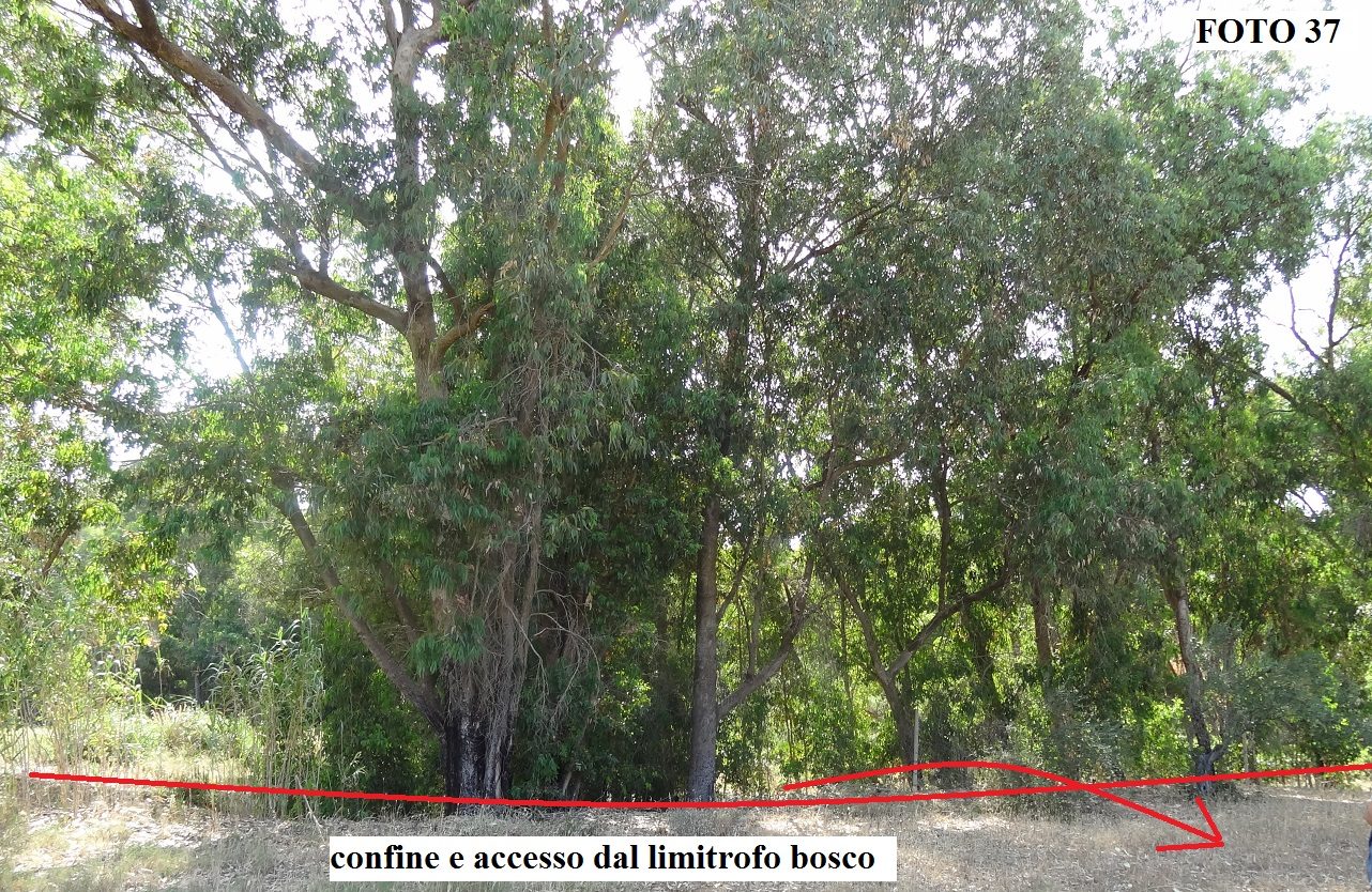 Altra categoria · Niscemi (Caltanissetta)