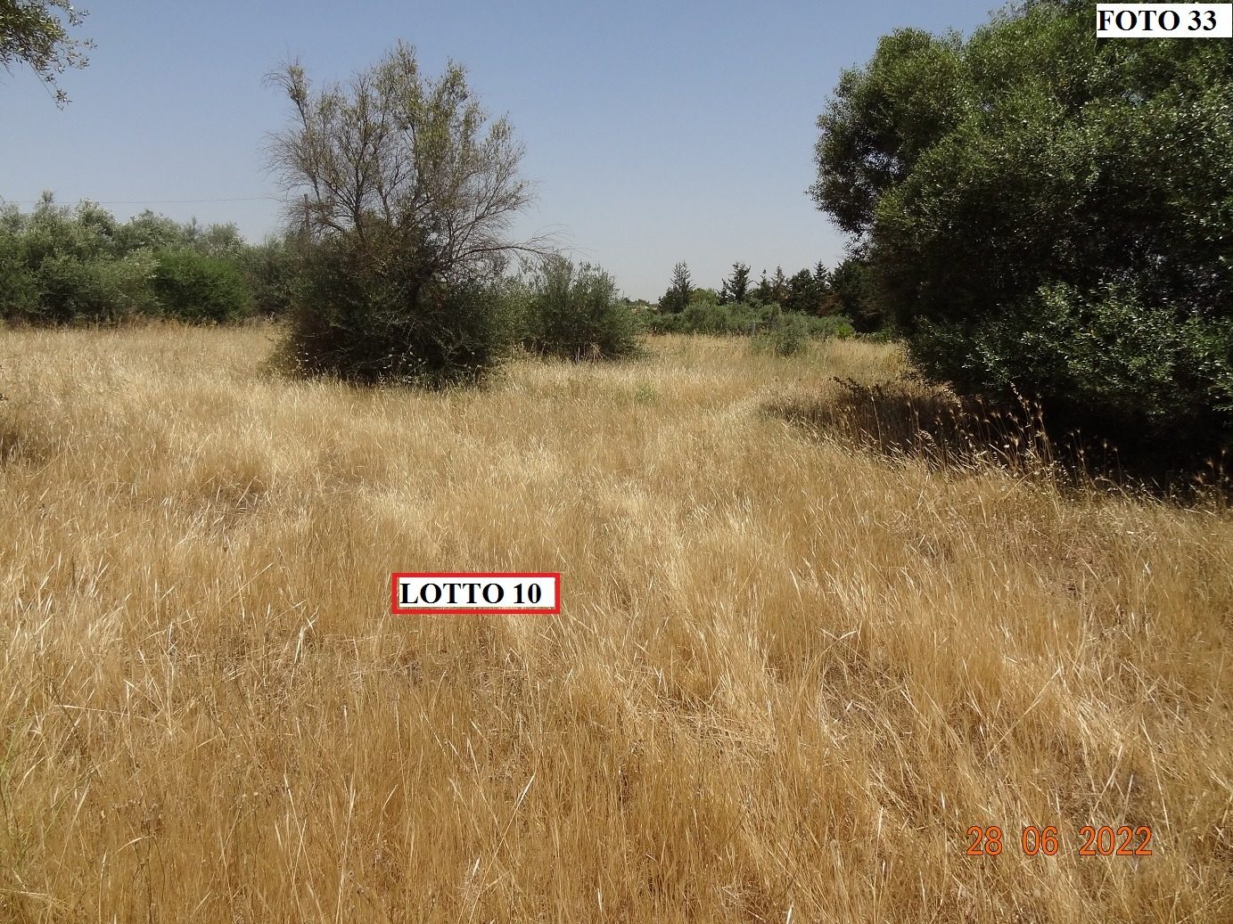 Altra categoria · Niscemi (Caltanissetta)