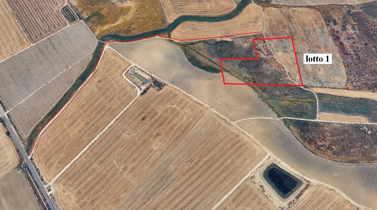 Altra categoria · Gela (Caltanissetta)