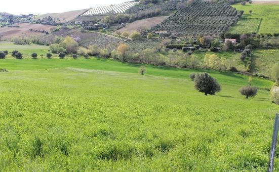 Altra categoria · Lapedona (Fermo)