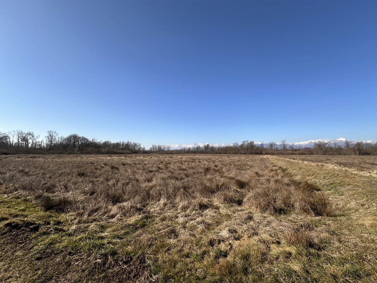 Altra categoria · Gattinara (Vercelli)