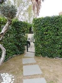 Immobile residenziale · San Felice a Cancello (Caserta)