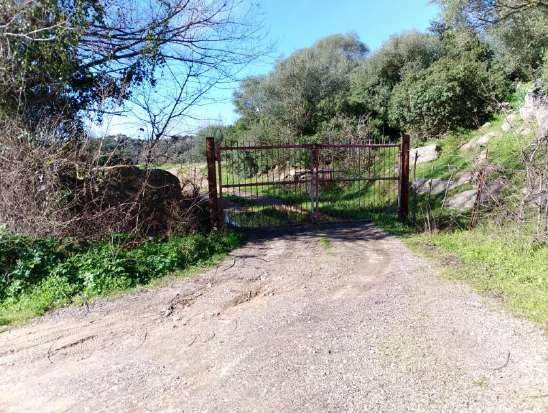 Altra categoria · Orotelli (Nuoro)