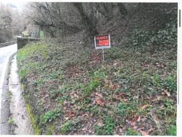 Altra categoria · Palazzago (Bergamo)