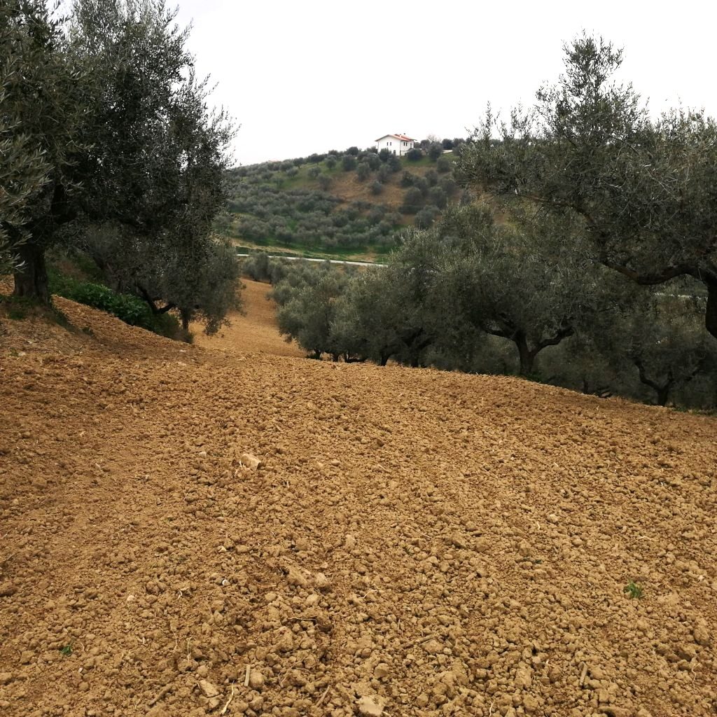 Altra categoria · Pianella (Pescara)