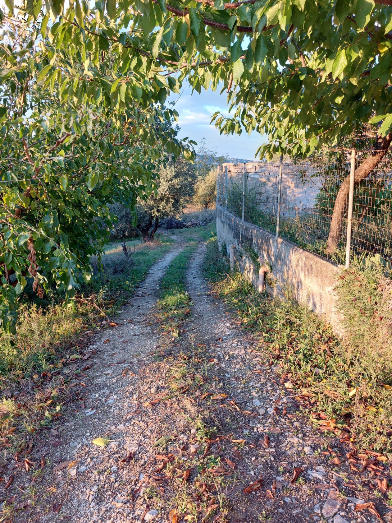 Immobile residenziale · Vacri (Chieti)