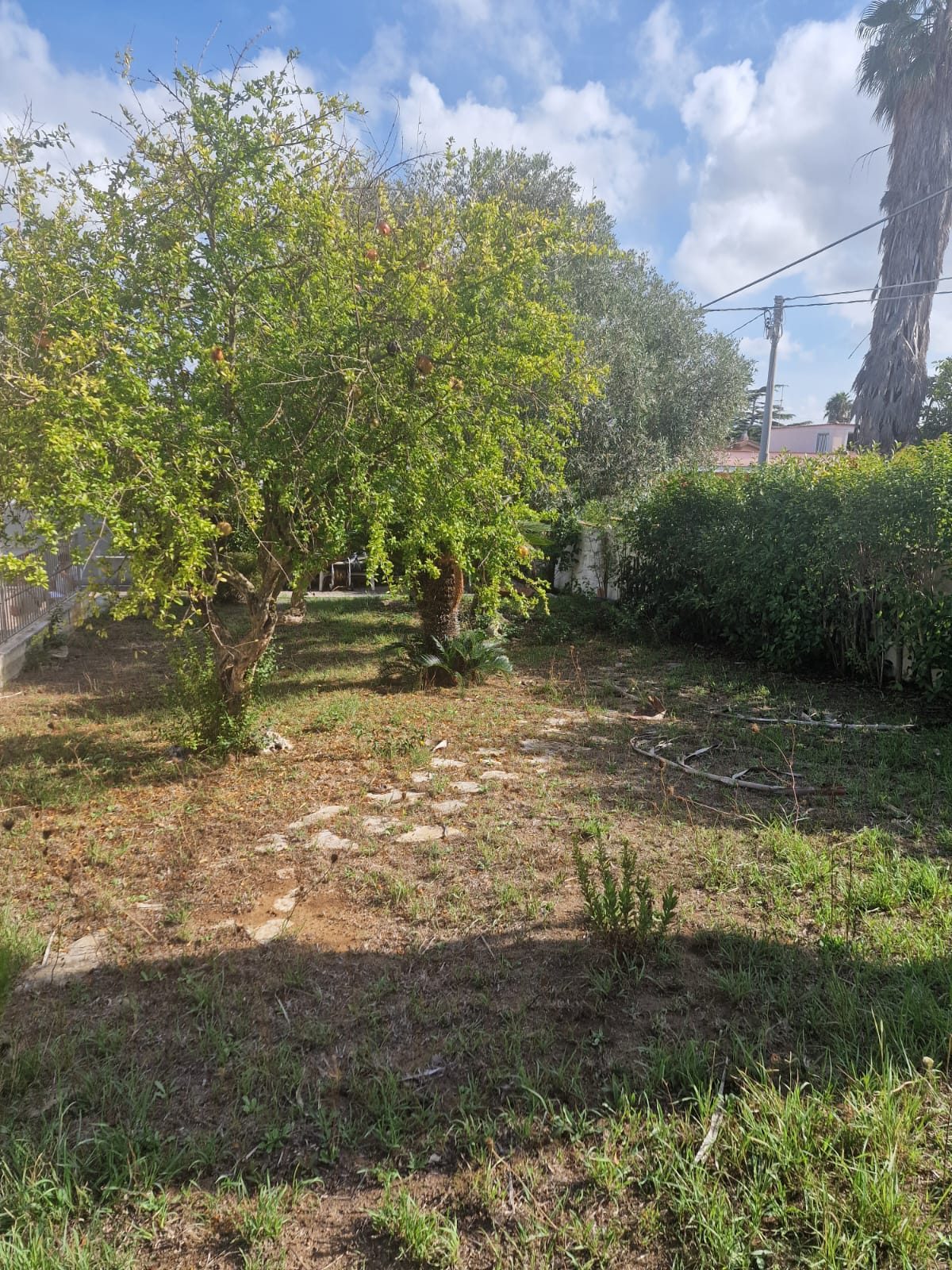 Immobile residenziale · Nettuno (Roma)