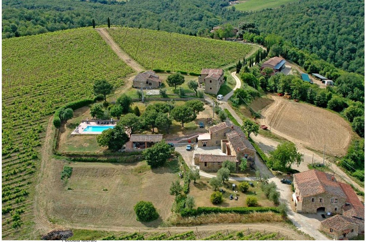 Altra categoria · Castelnuovo Berardenga (Siena)