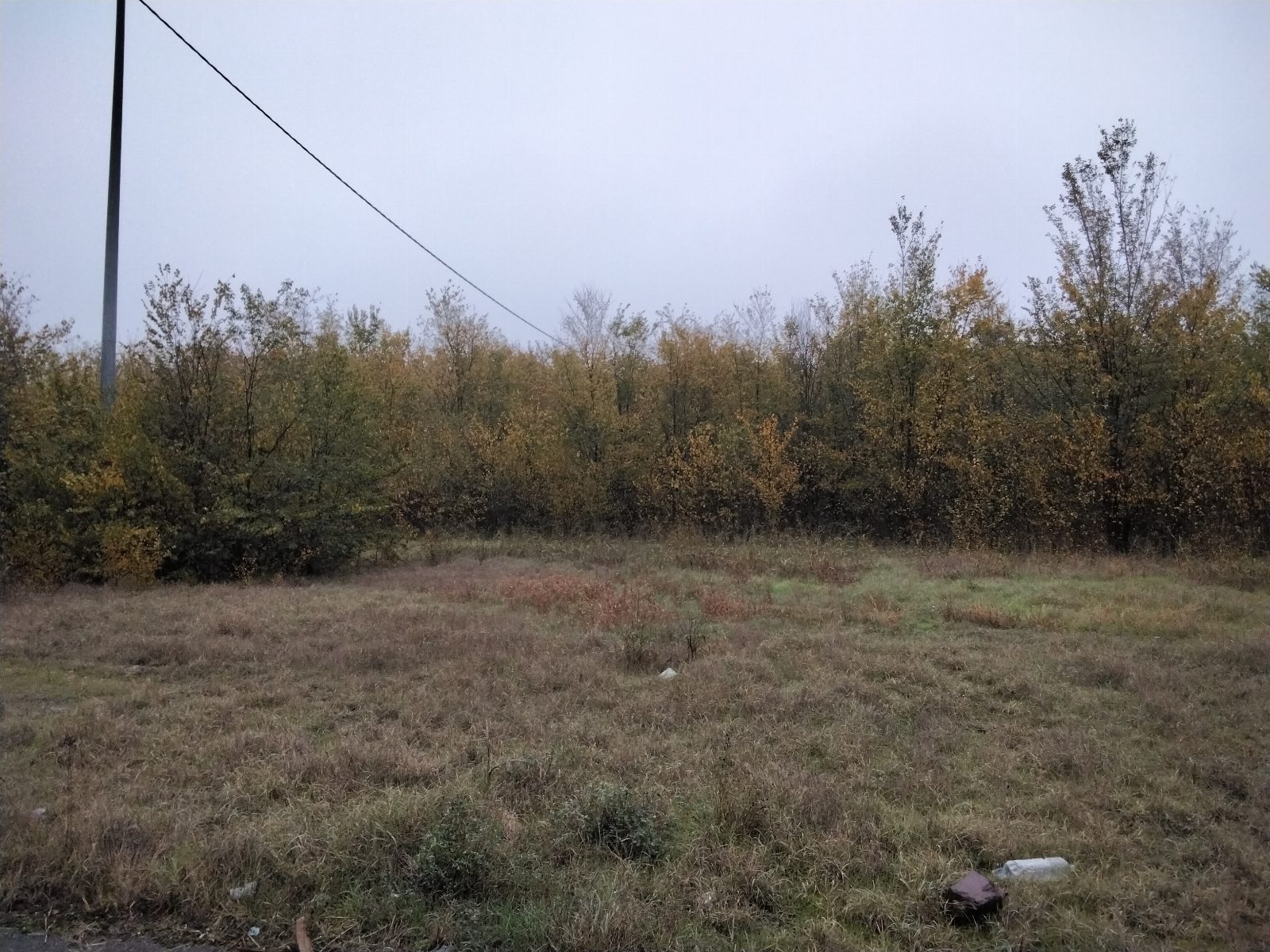 Altra categoria · Correggio (Reggio Emilia)
