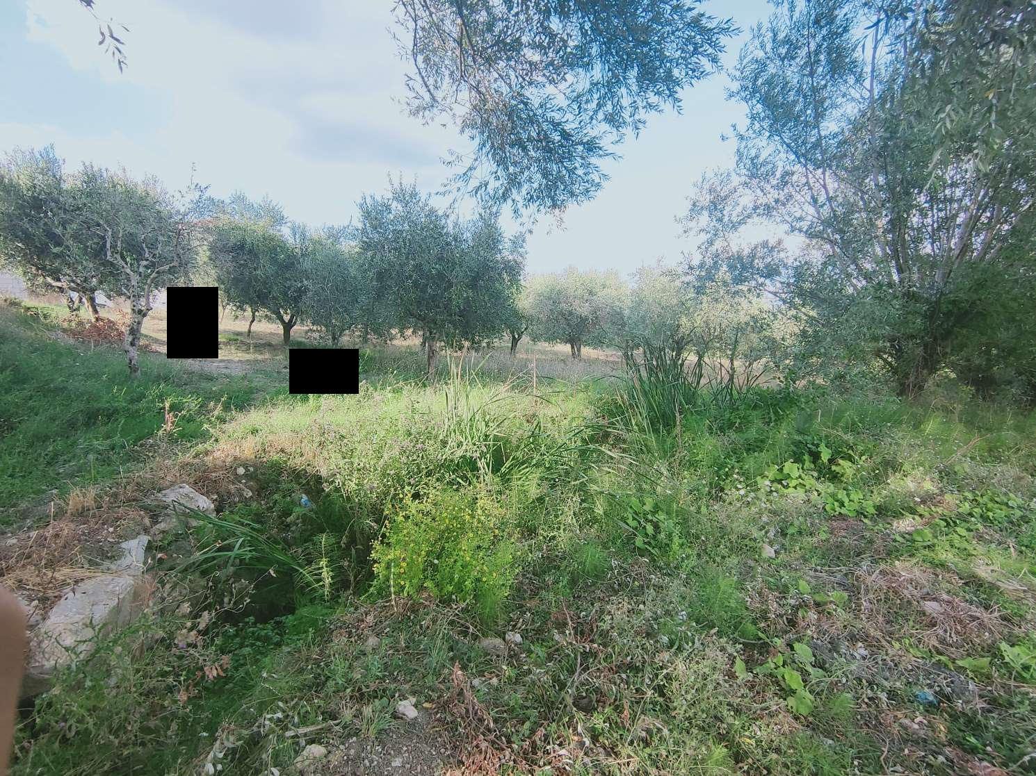 Altra categoria · Oliveto Citra (Salerno)