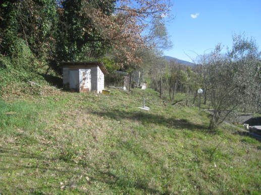 Immobile residenziale · Viterbo (Viterbo)