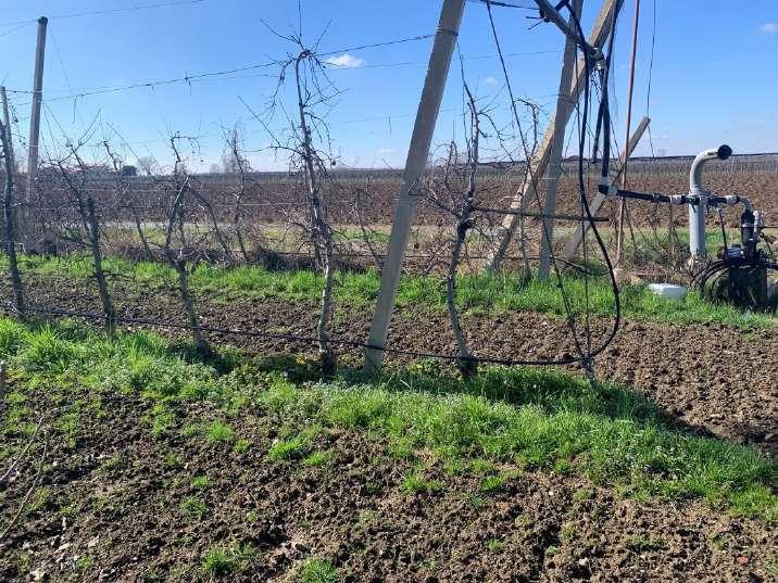 Immobile residenziale · Caldiero (Verona)