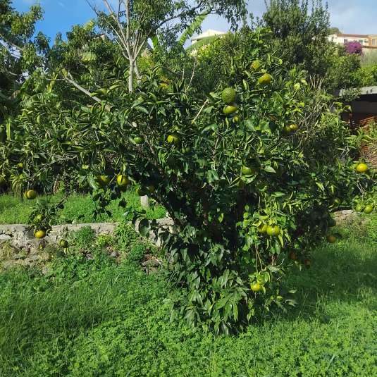 Immobile residenziale · Roccalumera (Messina)
