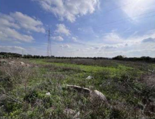 Altra categoria · San Donaci (Brindisi)