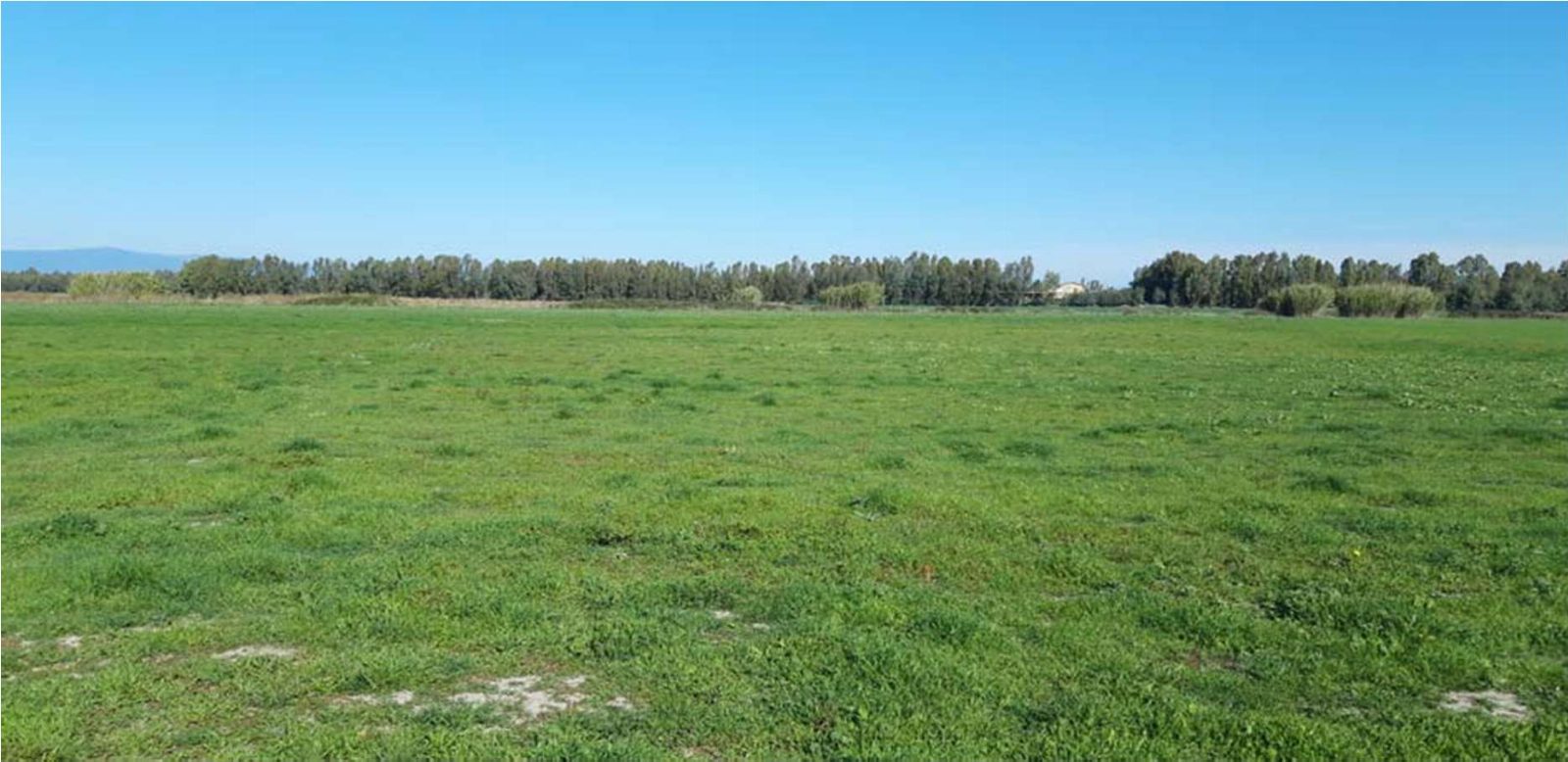 Altra categoria · Palmas Arborea (Oristano)