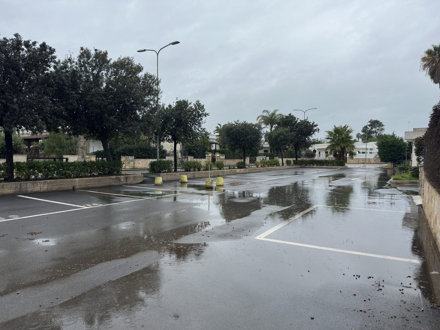 Altra categoria · Carovigno (Brindisi)