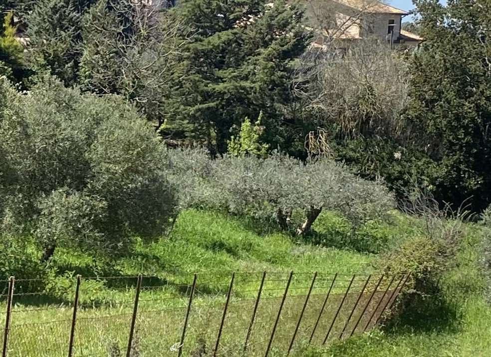 Altra categoria · Corleone (Palermo)