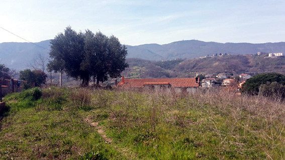 Altra categoria · Montalto Uffugo (Cosenza)