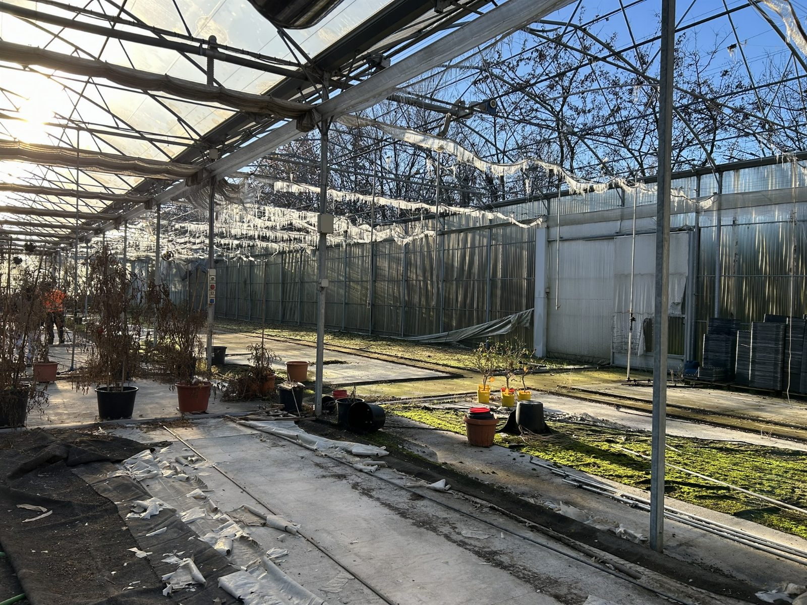 Immobile commerciale · Brescia (Brescia)