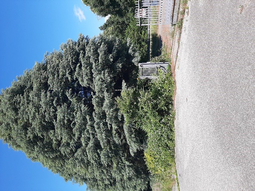 Immobile commerciale · Villa Guardia (Como)