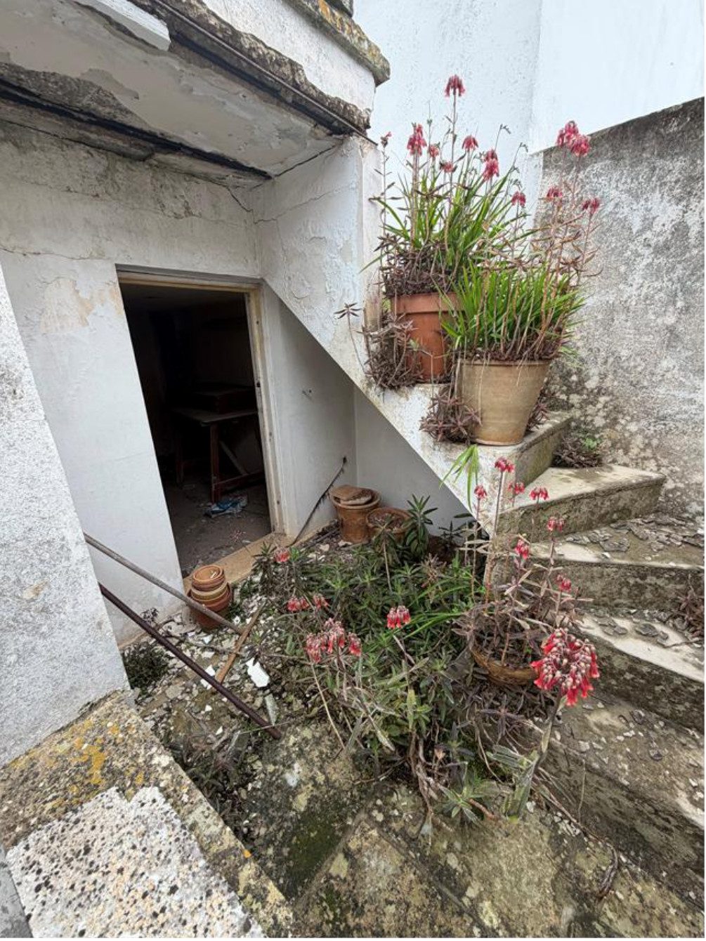 Immobile residenziale · Neviano (Lecce)
