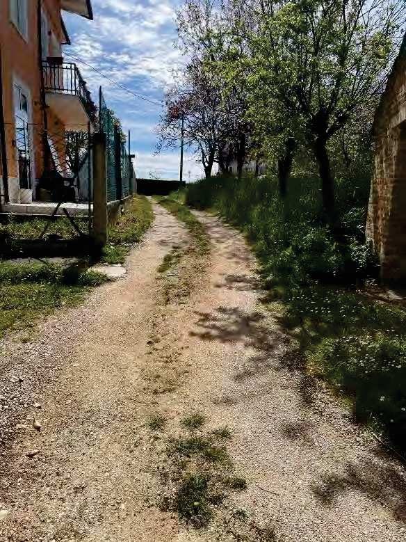 Altra categoria · Sant'Elpidio a Mare (Fermo)